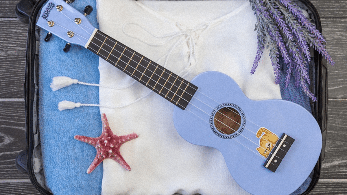 Comment transporter son instrument de musique en avion ?