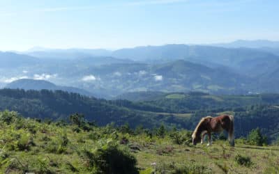 Les 5 endroits incontournables à découvrir lors de votre séjour au Pays Basque