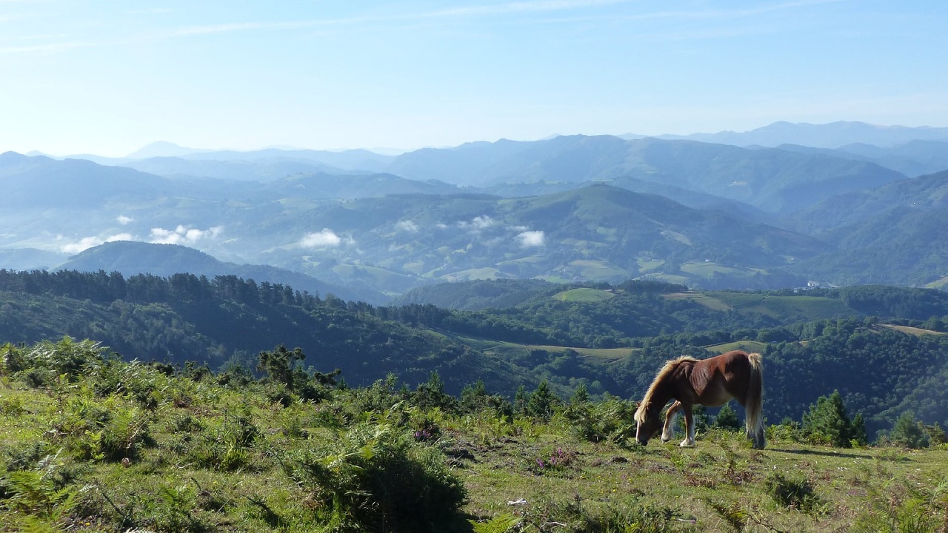 Les 5 endroits incontournables à découvrir lors de votre séjour au Pays Basque Pays Basque
